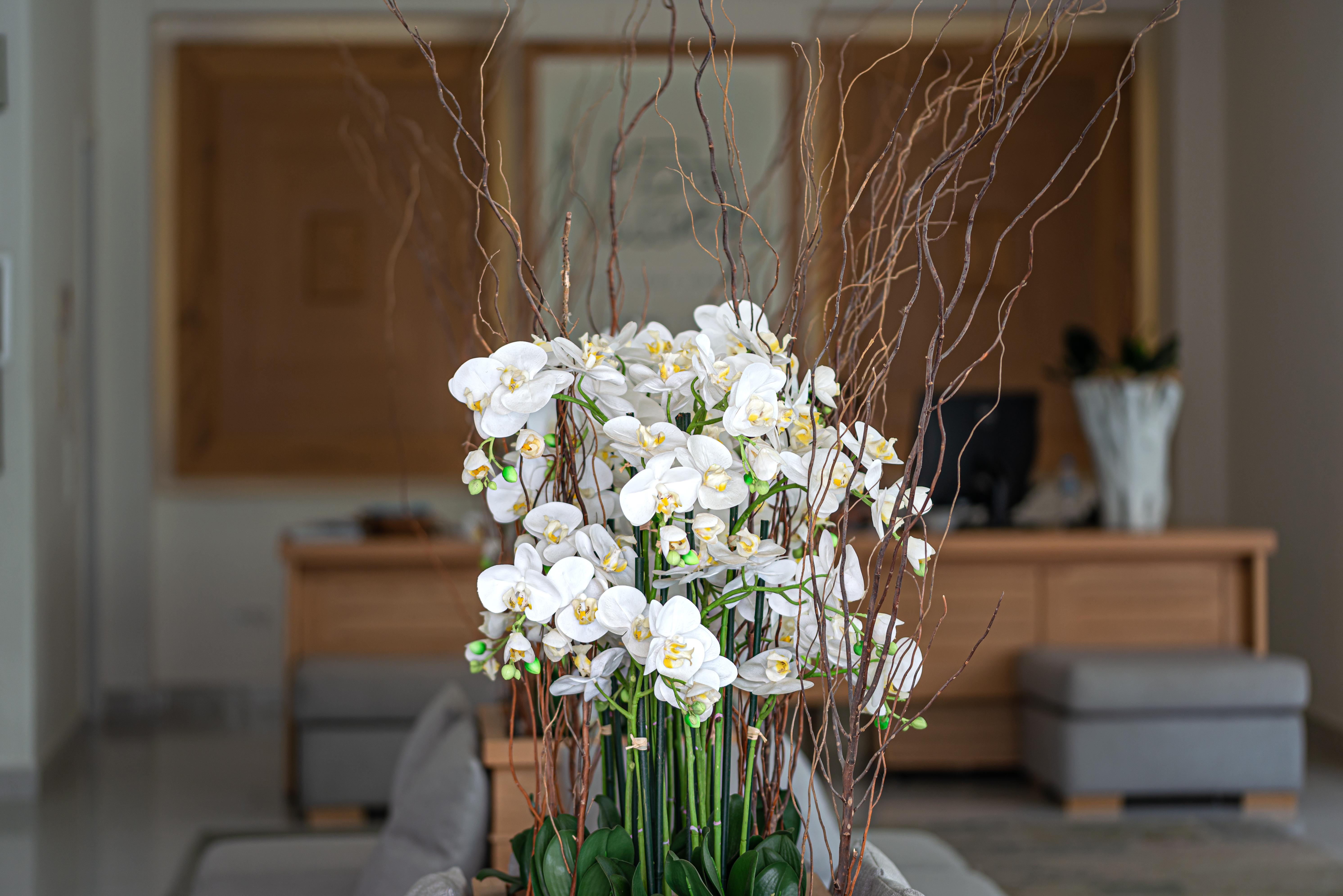 Nissaki Boutique Hotel Платис Ялос Экстерьер фото